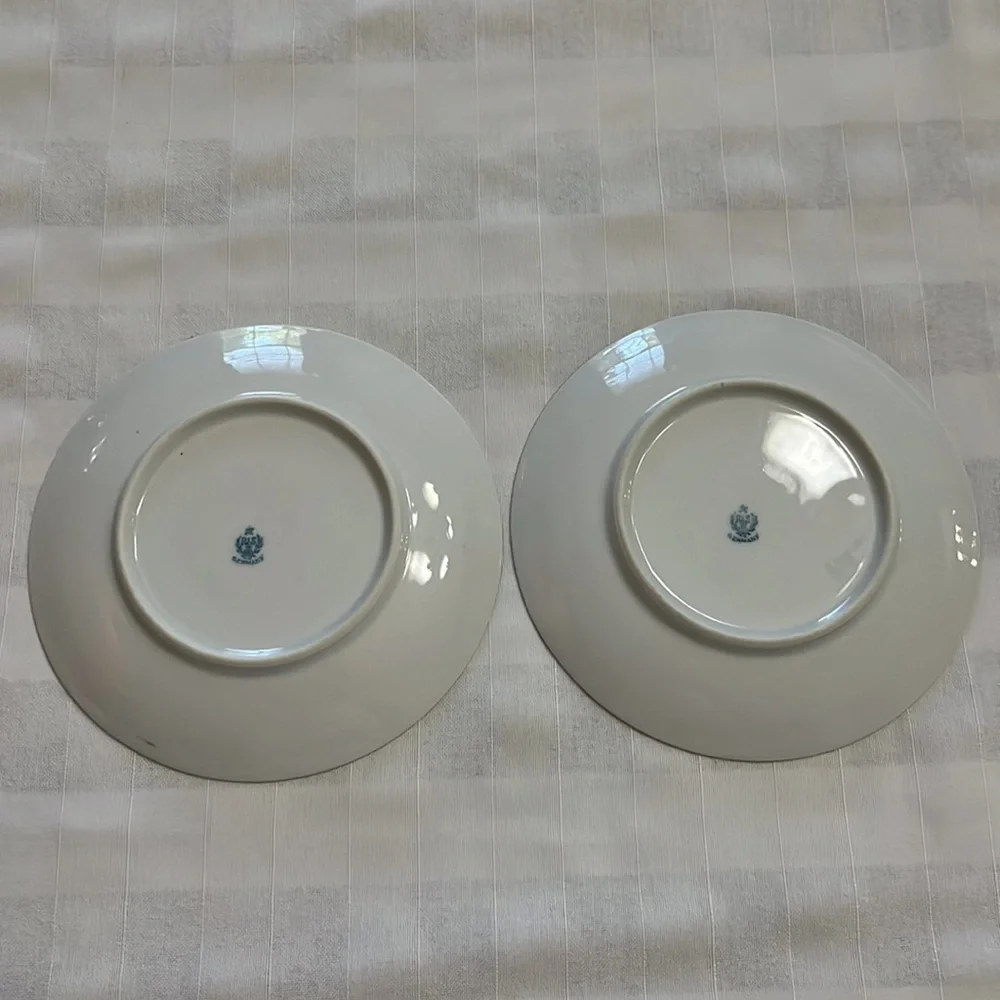 Antique delicate white floral design on porcelain plates RS Tillowitz Germany